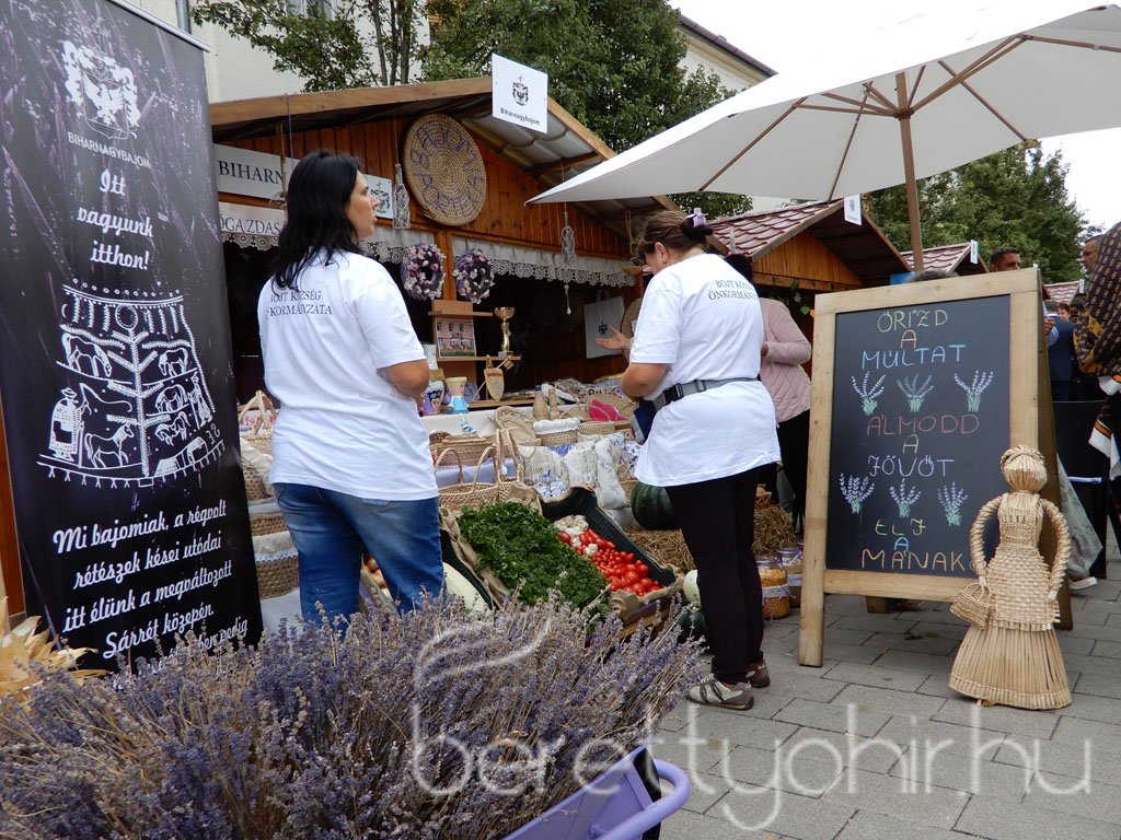 Helyi Értékek Startja 47